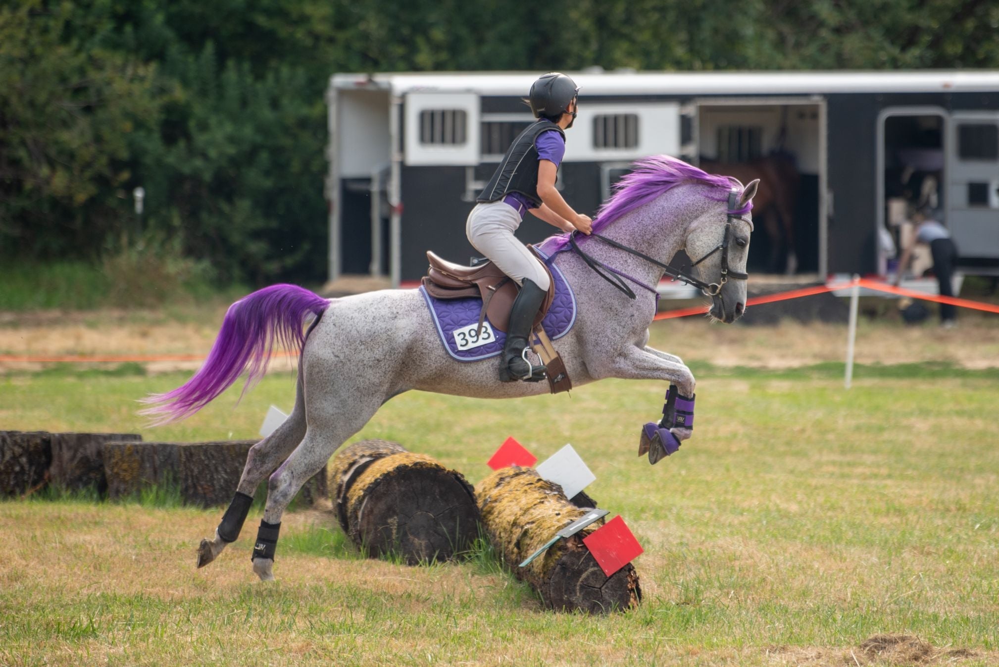 The Purple Equestrian Merch