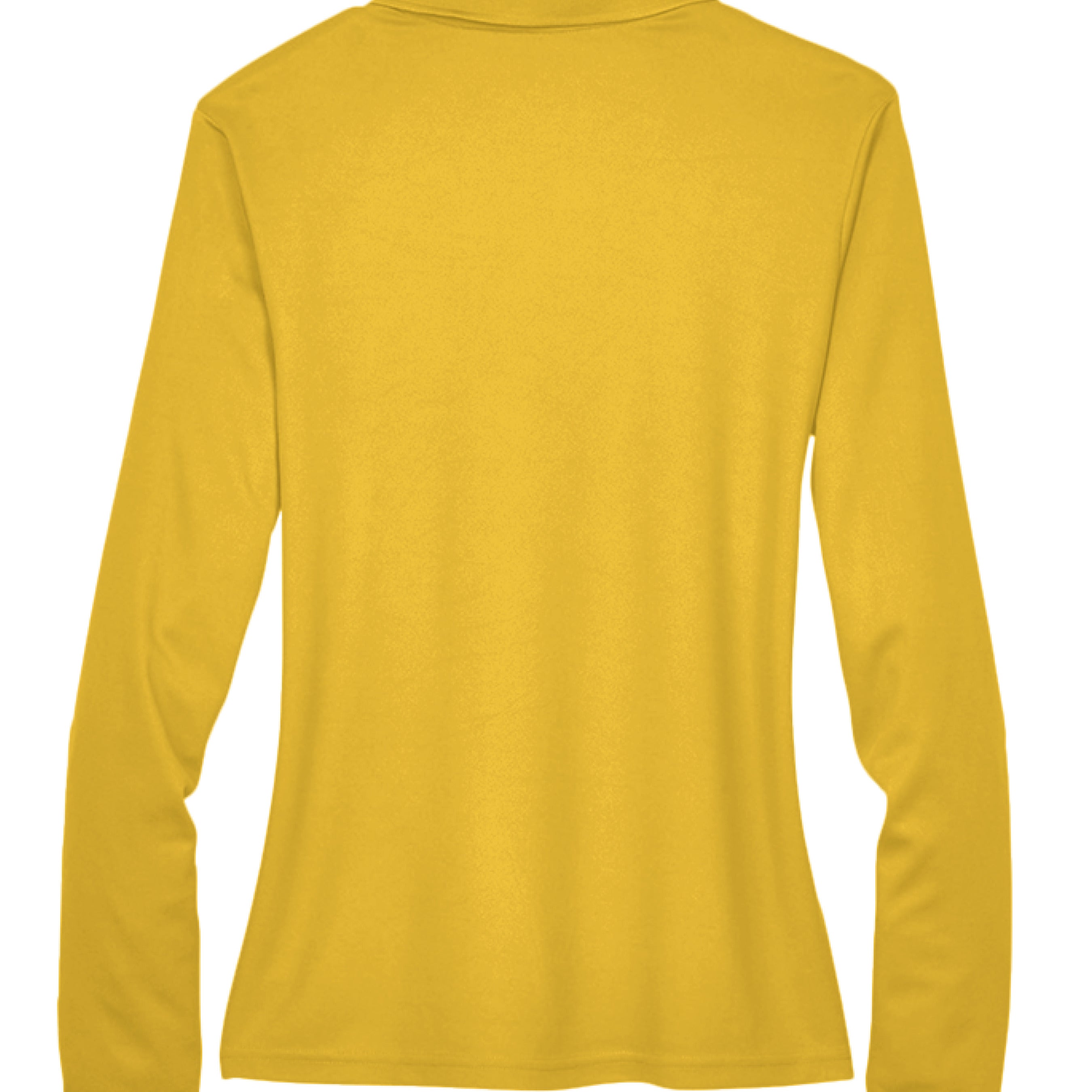 CAMPUS GOLD 444 - BACK